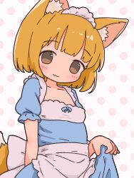 Rule 34 | 1girl, :3, absurdres, animal ear fluff, animal ears, apron, blonde hair, blue dress, blush, bow, bra, brown eyes, closed mouth, dress, fox ears, fox tail, halftone, halftone background, highres, irohiza, looking at viewer, maid, original, polka dot, polka dot background, polka dot bra, polka dot dress, puffy short sleeves, puffy sleeves, short hair, short sleeves, smile, solo, tail, underwear