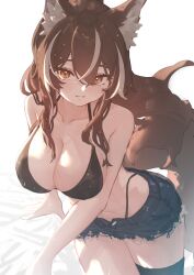 1girl absurdres animal_ear_fluff animal_ears bed bikini black_bikini black_thighhighs blush breasts brown_hair callisto_(greyeth) commentary commission english_commentary fox_ears fox_tail highleg highleg_bikini highres large_breasts looking_at_viewer multicolored_hair original ponytail second-party_source short_shorts shorts smile solo streaked_hair swimsuit tail thighhighs yacchi_(yxxrem) yellow_eyes
