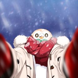 amonilust beak bird clothed_pokemon coat fur-trimmed_coat fur-trimmed_hood fur_trim gen_7_pokemon gloves hood looking_at_viewer meme mittens nintendo no_humans open_clothes open_coat outdoors owl pokemon pokemon_sm pov pov_cheek_warming_(meme) reaching reaching_towards_viewer red_gloves red_mittens red_scarf rowlet scarf upper_body white_coat winter_clothes winter_coat winter_gloves