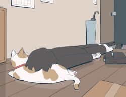 1boy absurdres animal animal_ears avogado6 bag black_bag black_footwear black_hair black_jacket black_pants box brown_fur cat cat_ears cat_tail collar door floor formal_clothes highres indoors jacket long_sleeves lying on_stomach original pants pet red_collar reflection reflective_floor shoes short_hair slice_of_life socks suit tail two-tone_fur umbrella wall white_fur white_socks