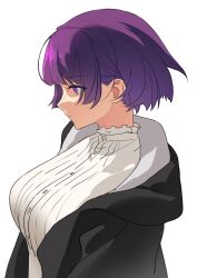 1girl alternate_hairstyle breasts buttons collar commentary dress fern_(sousou_no_frieren) frilled_collar frills highres open_clothes profile purple_eyes purple_hair serpent_(pepepp39) short_hair solo sousou_no_frieren upper_body white_background white_dress