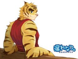 1boy animal_ears bara biceps blush closed_mouth commentary_request copyright_name from_behind furry furry_male looking_at_viewer looking_back male_focus morenatsu muscular muscular_male noute_(8haon8) red_tank_top smile tank_top tiger_boy tiger_ears tiger_stripes torahiko_oshima white_background yellow_fur