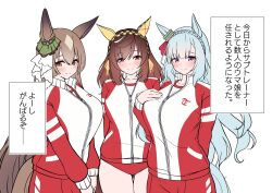 Rule 34 | 3girls, animal ears, blue hair, bow, breasts, brown hair, buena vista (umamusume), buruma, ear covers, ear ribbon, herohero (higashi no dou), highres, horse ears, horse girl, horse tail, jacket, large breasts, long hair, looking at viewer, mejiro ardan (umamusume), multiple girls, purple eyes, red buruma, satono diamond (umamusume), tail, tracen training uniform, track jacket, translation request, umamusume, yellow eyes