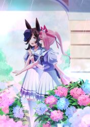 Rule 34 | 2girls, :d, absurdres, animal ears, blue flower, blue hat, blush, bow, bowtie, brown hair, closed eyes, commentary request, dress, ear covers, ear ribbon, feet out of frame, flower, freely2327, frilled dress, frills, hair flower, hair ornament, hair over one eye, haru urara (umamusume), hat, headband, highres, horse ears, horse girl, horse tail, hydrangea, long hair, mini hat, multiple girls, open mouth, outdoors, pink hair, pleated dress, ponytail, purple bow, purple bowtie, purple dress, purple eyes, rain, red headband, rice shower (umamusume), sailor collar, sailor dress, school uniform, short sleeves, sidelocks, smile, tail, tail bow, tail ornament, teeth, thighhighs, tilted headwear, tracen school uniform, two-tone dress, umamusume, upper teeth only, walking, white dress, white sailor collar, white thighhighs