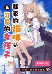 1girl 40hara absurdres animal animal_ear_fluff animal_ears bare_legs barefoot black_cat blue_eyes blue_sky brown_hair cat cat_ears cat_girl cat_tail closed_mouth cloud collar commentary_request cover cover_page day highres kinako_(40hara) long_hair looking_at_viewer original outdoors power_lines red_collar shirt short_sleeves sky smile solo tail translation_request utility_pole white_shirt