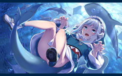 1girl animal_hood blue_eyes blue_hair blue_socks blush fingernails fins fish fish_tail gawr_gura gawr_gura_(1st_costume) highres hinasaki_you hololive hololive_english hood light_blue_hair long_sleeves manta_ray medium_hair multicolored_hair no_panties open_mouth pouch shark shark_girl shark_hood shark_tail sharp_teeth sleeves_past_wrists smile socks solo speech_bubble streaked_hair tail teeth underwater virtual_youtuber white_background white_hair