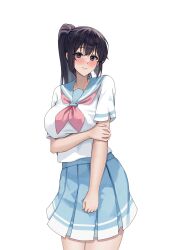 Rule 34 | 1girl, absurdres, arm under breasts, black hair, blue sailor collar, blue skirt, blush, breasts, closed mouth, commentary, commission, hibike! euphonium, high ponytail, highres, holding own arm, kitauji high school uniform, kousaka reina, large breasts, long hair, looking at viewer, neckerchief, pink neckerchief, pixiv commission, pleated skirt, ponytail, purple eyes, sailor collar, school uniform, serafuku, shirt, short sleeves, simple background, skirt, smodzz998, solo, standing, summer uniform, white background, white shirt