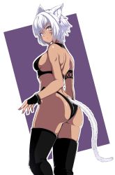 1girl animal_ears ass black_thighhighs breasts bridal_gauntlets cat_ears cat_tail dark-skinned_female dark_skin facial_mark final_fantasy final_fantasy_xiv gloves grey_eyes halterneck highres kaname_nagi looking_at_viewer medium_breasts miqo&#039;te short_hair solo tail thighhighs two-tone_background whisker_markings white_hair y&#039;shtola_rhul