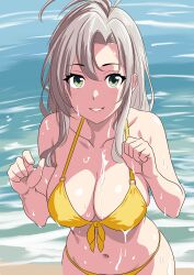 Rule 34 | 1girl, absurdres, antenna hair, beach, bikini, bone namu(namu49850), breasts, cleavage, collarbone, commentary request, front-tie bikini top, front-tie top, green eyes, grey hair, hair down, highres, kantai collection, kinugasa (kancolle), large breasts, navel, ocean, parted lips, smile, solo, swimsuit, upper body, water, wet, yellow bikini