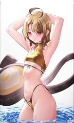 1girl absurdres ahoge alternate_costume alternate_hairstyle armpits arms_behind_head arms_up bare_arms bare_shoulders bikini black_tail blush breasts brown_hair commentary cowboy_shot curtained_hair english_commentary front-tie_top gigi_murin gold_bikini golden_week groin halterneck highleg highleg_bikini highres hololive hololive_english looking_at_viewer medium_hair multicolored_hair navel red_eyes simple_background small_breasts smile solo stomach swimsuit two-tone_hair umamii virtual_youtuber wading water wet white_background