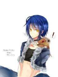 Rule 34 | !, 1boy, baphomet jr, black shirt, blue hair, blue jacket, closed mouth, commentary request, crop top, cropped jacket, expressionless, fur-trimmed jacket, fur trim, jacket, looking at viewer, lowres, male focus, midriff, open clothes, open jacket, ragnarok online, shirt, short hair, short sleeves, simple background, sitting, solo, spoken exclamation mark, stalker (ragnarok online), translation request, upper body, wane (ruki), white background, yellow eyes