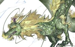 Rule 34 | 1boy, 1other, akmisss00, antlers, barbell, beard, blonde hair, book, claws, colored sclera, dragon, dungeon meshi, eastern dragon, elf, facial hair, highres, horns, mane, mini person, miniboy, mustache, open book, outstretched arms, pointy ears, purple outfit, scales, sharp teeth, size difference, tail, teeth, thick beard, thistle (dungeon meshi), very long tail, white background, white hair, yellow sclera