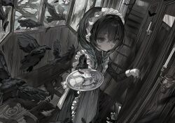 1girl 1other animal apron bird black_dress black_feathers black_hair black_shoes ceiling crow cup door doorbell dress drinking_glass expressionless feathers feet_out_of_frame frilled_apron frilled_hairband frills grey_eyes hair_between_eyes hairband hands_up highres holding holding_cup holding_plate indoors long_sleeves looking_ahead m0j1n3 maid_headdress open_window original plate shoes short_hair stairs standing three_quarter_view tree white_apron white_hairband window wooden_floor