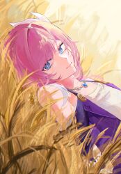 Rule 34 | 1girl, blue eyes, blue sky, coat, cyrene (honkai: star rail), dress, hair ornament, hashtag-only commentary, highres, honkai: star rail, honkai (series), jewelry, looking at viewer, lying, medium hair, necklace, on back, outdoors, pink hair, purple coat, sky, smile, solo, suzu (0943 su), wheat, wheat field, white dress