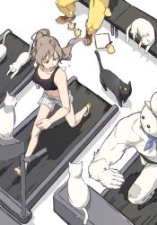 1girl 2boys azur_lane baby_animal bird black_tank_top breasts brown_hair cat chick hatski.sin highres jean_bart_(azur_lane) long_hair meowfficer_(azur_lane) midriff multiple_boys navel pants ponytail running shoes shorts sports_bra tank_top white_cat
