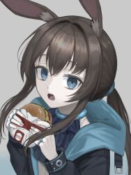 1girl absurdres amiya_(arknights) animal_ear_fluff animal_ears arknights ascot black_jacket blue_ascot blue_collar blue_eyes brown_hair burger collar commentary food food_wrapper hair_intakes highres holding holding_burger holding_food hood hooded_jacket jacket jewelry kkamkkam long_hair long_sleeves looking_at_viewer low_ponytail multiple_rings open_clothes open_jacket open_mouth ponytail rabbit_ears rabbit_girl ring ringed_eyes solo symbol-only_commentary teeth upper_body upper_teeth_only