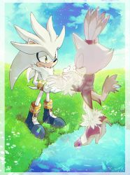 1boy 1girl black_footwear blaze_the_cat boots cat_girl closed_eyes coat day floating fur fur-trimmed_coat fur_trim furry furry_female furry_male gloves grass highres holding_hands long_sleeves outdoors purple_coat purple_footwear sephikowa silver_the_hedgehog sky smile sonic_(series) sonic_the_hedgehog_(2006) standing water white_gloves