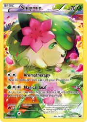 animal_focus artist_name blush card_(medium) character_name closed_mouth copyright_name copyright_notice english_text flower full_body gen_4_pokemon grass green_eyes iribi_you legendary_pokemon lying mythical_pokemon nintendo no_humans official_art orange_flower outdoors pink_flower pink_petals pokemon pokemon_(creature) pokemon_card pokemon_focus pokemon_tcg reflection reflective_water shaymin shaymin_(land) smile solo third-party_source trading_card water_drop