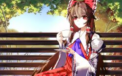 Rule 34 | 1girl, absurdres, ascot, bench, bow, brown hair, chinese commentary, closed mouth, commentary request, cup, detached sleeves, frilled bow, frilled hair tubes, frills, hair bow, hair tubes, hakurei reimu, highres, holding, holding cup, holding plate, long hair, looking at viewer, on bench, ox-gear-xo, plate, purple ascot, red eyes, red skirt, ribbon-trimmed sleeves, ribbon trim, sitting, skirt, skirt set, solo, teacup, touhou