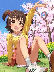 1girl :d absurdres akagi_miria arm_up bare_legs blush breasts brown_eyes brown_hair cherry_blossoms collared_shirt colored_shoe_soles commentary_request convenient_leg dress_shirt flower full_body gingham_skirt grey_socks hair_intakes hair_ornament hairclip hand_on_ground handkerchief highres idolmaster idolmaster_cinderella_girls knees_up large_breasts long_sleeves on_grass on_ground open_mouth outdoors red_skirt shirt shoes short_twintails sitting skirt smile sneakers socks solo sweater twintails unmoving_pattern watermark white_shirt white_shoes yazawa_happyaro yellow_flower yellow_sweater