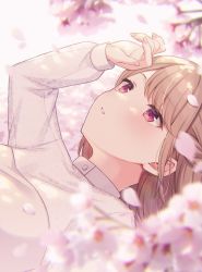 1girl arm_up blurry blurry_background blurry_foreground blush brown_hair commentary_request depth_of_field flower looking_away lying on_back original parted_lips petals pink_flower red_eyes shiromikan shirt solo upper_body white_shirt