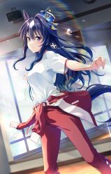 Rule 34 | 1girl, animal ears, blue hair, breasts, commentary request, ear covers, highres, horse ears, horse girl, horse tail, indoors, long hair, looking at viewer, murasaki himuro, pants, purple eyes, red pants, shirt, single ear cover, small breasts, solo, standing, tail, tracen training uniform, umamusume, verxina (umamusume), white shirt