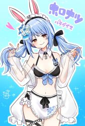 1girl animal_ears apron bare_shoulders bikini black_bikini black_bow blue_background blue_flower blue_hair blush bow breasts closed_mouth commentary_request flower hair_bow hair_flower hair_ornament hands_in_own_hair hands_up head_tilt heart highres hololive holonatsu_paradise jacket kiritoma long_hair long_sleeves looking_at_viewer low_twintails maid_headdress multicolored_hair navel off_shoulder open_clothes open_jacket outline puffy_long_sleeves puffy_sleeves rabbit_ears red_eyes see-through_clothes see-through_jacket short_eyebrows signature sleeves_past_wrists small_breasts smile solo streaked_hair swimsuit thick_eyebrows translation_request twintails usada_pekora usada_pekora_(holonatsu_paradise) virtual_youtuber waist_apron white_apron white_hair white_outline