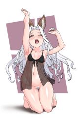 1girl animal_ears arms_up babydoll black_babydoll blush bottomless breasts erune female_pubic_hair full_body granblue_fantasy kneeling long_hair navel open_mouth pubic_hair red_eyes scathacha_(granblue_fantasy) small_breasts solo variant_set white_hair yawning yggsil