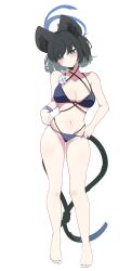 1girl absurdres amebrew animal_ear_fluff bare_legs barefoot bikini black_eyes black_hair blue_archive blue_bikini breasts cat_girl cat_tail cleavage flower highres kikyou_(blue_archive) kikyou_(swimsuit)_(blue_archive) large_breasts multiple_tails navel official_alternate_costume short_hair solo stomach swimsuit tail teeth two_tails white_flower