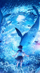 1girl absurdres blue_sailor_collar blue_skirt blue_theme cloud commentary_request conductor_baton fish highres holding holding_baton kenzo_093 music_stand ocean original pleated_skirt sailor_collar scenery school_uniform sheet_music shirt skirt sky sunlight surreal water whale white_shirt wide_shot