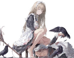 2girls absurdres apron barefoot beak_hold bird bird_on_hand black_bird black_dress blonde_hair blood blood_on_clothes breasts broom commentary crow dress feet frilled_dress frills hand_up highres holding holding_broom jenmin12 legs lips long_hair looking_to_the_side lying maid maid_apron maid_headdress mouth_hold multiple_girls original parted_lips revision ribbon simple_background sitting submerged toes white_apron white_background white_ribbon yellow_eyes