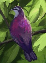 animal animal_focus beak bird bird_tail black_eyes branch feathered_wings feathers from_behind full_body highres leaf looking_at_viewer no_humans on_branch original outdoors perching purple_feathers solo tail tukimi_088 white_feathers wings