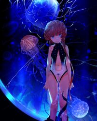 1girl blue_eyes braid breasts brown_hair center_opening crack cracked_glass fate/grand_order fate_(series) highres jellyfish kibadori_rue navel one-piece_swimsuit small_breasts swimsuit tentacles underwater van_gogh_(fate) van_gogh_(sink_deeper)_(fate) watermark