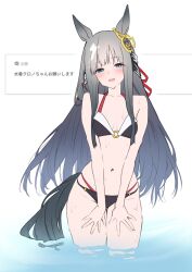 Rule 34 | 1girl, animal ears, bikini, black bikini, blue eyes, breasts, chrono genesis (umamusume), ear ornament, grey hair, herohero (higashi no dou), highres, horse ears, horse girl, horse tail, long hair, medium breasts, navel, open mouth, partially submerged, smile, solo, swimsuit, tail, translation request, umamusume