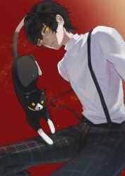 1boy absurdres amamiya_ren cat character_request highres liw looking_at_viewer male_focus morgana_(cat)_(persona_5) morgana_(persona_5) persona persona_5 simple_background solo yellow_eyes