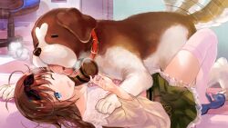 1girl banako_(yumeutsutsu) blue_shoes bow brown_cardigan brown_hair cardigan closed_eyes dog footwear_bow frilled_skirt frills game_cg green_skirt licking licking_another&#039;s_cheek licking_another&#039;s_face loafers long_hair long_sleeves lying motion_lines non-web_source official_art on_back one_eye_closed open_cardigan open_clothes otori_ai peanut_mouth pink_bow pink_shirt pleated_skirt shirt shoes skirt speed_lines st_bernard tail tail_wagging thighhighs tongue tongue_out white_thighhighs yumeutsutsu_re:master