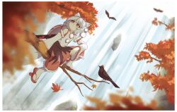 1girl animal_ears autumn_leaves ay606078 bird black_skirt blurry chinese_commentary closed_mouth commentary_request crow depth_of_field detached_sleeves geta grey_hair hat highres inubashiri_momiji leaf multicolored_skirt outdoors pom_pom_(clothes) red_eyes red_sandals red_skirt ribbon-trimmed_sleeves ribbon_trim sandals sheath shield shield_on_back sitting_on_branch skirt socks solo tail tengu-geta tokin_hat touhou water waterfall white_socks wolf_ears wolf_girl wolf_tail