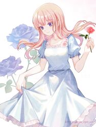 1girl artist_name collarbone dress dress_flower floral_background flower frilled_dress frills highres holding holding_flower long_hair nice_night_zzz original pink_hair puffy_short_sleeves puffy_sleeves purple_eyes red_flower red_rose rose short_sleeves skirt_hold solo square_neckline white_dress