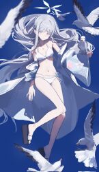 1girl bare_shoulders bikini bird blue_archive blue_background braid breasts collarbone grey_eyes hair_ornament halo highres jewelry long_hair loong_(loong_blo) nagusa_(blue_archive) nagusa_(swimsuit)_(blue_archive) navel necklace platform_sandals sandals seagull single_braid small_breasts snowflake_hair_ornament snowflake_halo stomach swimsuit white_bikini white_hair white_halo