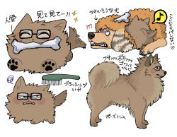 animal animalization black_eyes bone commentary_request dog glasses hair_brush highres no_humans pomeranian_(dog) poodle randal&#039;s_friends randal_ivory riokku_heya sebastian_de_tomato_smith_chicken_legs simple_background tail tail_wagging translation_request white_background
