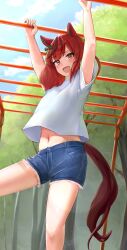 1girl absurdres animal_ears arms_up blue_sky blush bow brown_bow brown_eyes brown_streaks commentary_request cutoffs day denim denim_shorts feet_out_of_frame hair_bow hanging highres horse_ears horse_girl horse_tail medium_hair midriff_peek miyama_mizuki_(hoshihoshi1220) monkey_bars multicolored_hair navel nice_nature_(umamusume) open_mouth outdoors red_hair shirt short_shorts short_sleeves shorts sky smile solo streaked_hair sweatdrop tail tree umamusume white_shirt