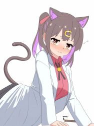 Rule 34 | 1girl, :3, animal ear fluff, animal ears, black hair, blush, bolo tie, brown eyes, cat ears, cat girl, cat tail, coat, commentary, hair ribbon, happyundergate, highres, kemonomimi mode, lab coat, long sleeves, looking at viewer, medium hair, multicolored hair, nose blush, onii-chan wa oshimai!, open clothes, open coat, oyama mihari, purple hair, red shirt, ribbon, shirt, simple background, slit pupils, smile, solo, squeans, tail, translated, twintails, two-tone hair, white background