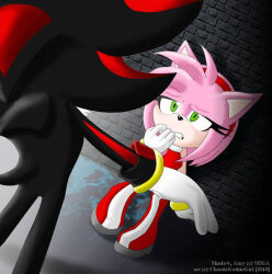 amy_rose black_fur boots chaoticgothicgirl chest_hair dated dress from_behind furry furry_female furry_male gloves green_eyes hand_on_own_face headband hedgehog_boy hedgehog_girl implied_abuse jewelry multicolored_fur nervous no_humans pink_fur pink_hair red_dress red_fur red_shoes ring sega shadow_the_hedgehog shoes sonic_(series) wet_ground
