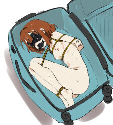 1girl arms_behind_back ball_gag bdsm blindfold breasts briefcase brown_hair eudetenis futaba_(pretzelfan) gag girl_in_a_box hair_ornament hairclip highres legs_tied luggage_bondage second-party_source short_hair sidelocks small_breasts wiffle_gag