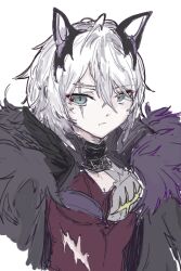 animal_ears aqua_hair arknights cat_ears closed_mouth fur_collar high_collar looking_at_viewer millscar_(arknights) portrait raze717015 scar scar_on_face white_hair