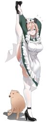 1girl animal_ears apron black_shoes breasts brown_hair cheemsburger_(doge) dog dress flexible green_dress green_eyes hair_between_eyes hat highres holding_own_leg indie_virtual_youtuber kneepits large_breasts leg_hold leg_lift leg_up long_sleeves mary_janes medium_hair meme nimi_nightmare nurse_cap real_life redi_(rasec_asdjh) shoes solo split standing standing_on_one_leg standing_split tapir_ears tapir_girl thighhighs virtual_youtuber white_apron white_thighhighs
