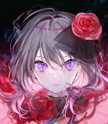 1girl album_cover black_background bow bowtie closed_mouth collar colored_inner_hair cover floating_hair flower frilled_collar frills grey_hair hair_between_eyes hair_flower hair_ornament highres medium_hair miwano_rag multicolored_hair official_art ore_wa_subete_wo_parry_suru pink_background pink_hair portrait purple_eyes rose sakuragi_maika solo utahime_dream