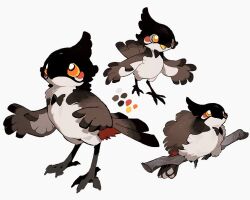 animal animal_focus beak bird bird_tail black_feathers branch bright_pupils bul_(moiko) chest_tuft color_guide creature creature_focus feathered_wings feathers full_body multicolored_eyes multiple_views no_humans orange_eyes original simple_background sitting_on_branch tail talons white_background white_feathers white_pupils wings yellow_eyes