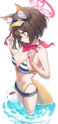 1girl absurdres animal_ears bikini blue_archive breasts brown_hair commentary fox_ears fox_girl fox_tail halo highres izuna_(blue_archive) izuna_(swimsuit)_(blue_archive) looking_down medium_breasts navel official_alternate_costume ogura_toast red_halo red_scarf scarf short_hair simple_background solo striped_bikini striped_clothes swimsuit tail thighs visor_cap wading wet white_background yellow_eyes