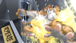 2boys anger_vein animal_ears autofacial bara behind_another beige_fur brown_fur completely_nude couple cum cum_on_body cum_on_male cum_on_pectorals cum_on_self cum_string dog_boy dog_ears dog_tail erection facial facial_hair foot_out_of_frame foreshortening furry furry_male furry_with_furry glowing glowing_eyes goatee grin groping highres large_pectorals lightning live_a_hero male_focus male_protagonist_(live_a_hero) male_pubic_hair mature_male multiple_boys muscular muscular_male nipples no_mask nude orange_fur pectoral_grab pectorals penis pubic_hair ryekie_(live_a_hero) short_hair skarltano smile stomach surprised tail thick_eyebrows tiger_boy tiger_ears tiger_tail uncensored wide-eyed yaoi